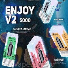 Картридж ENJOY V2 (аналог UDN S2) (Blackberry Menthol)  Ежевика Ментол 1шт